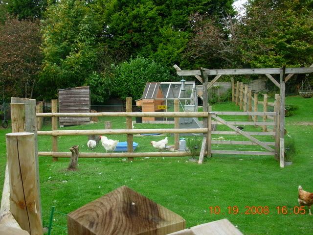 Animalcompound19102008.jpg