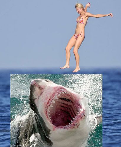 Paris Hilton Jumps Into Ocean!  Unfortuantely This DIDN