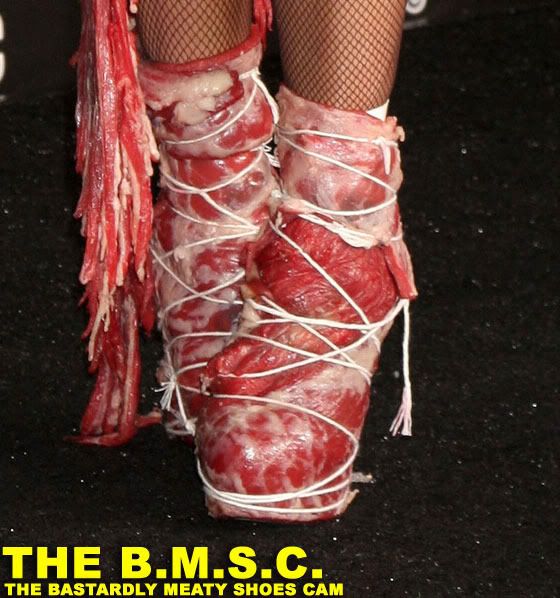 lady gaga meat dress shoes. The dress came complete with