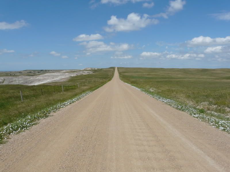 P1000554.jpg