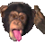 Emoticons-Chimp.gif