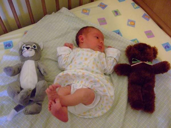 Evelia--4daysold--teddykitty.jpg