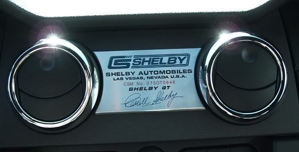 ShelbyPlate2.jpg