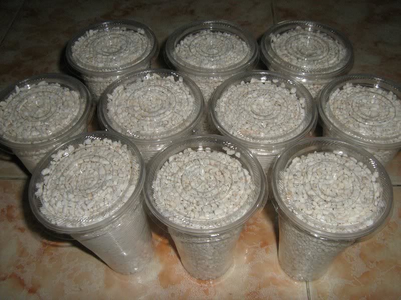perlite.jpg