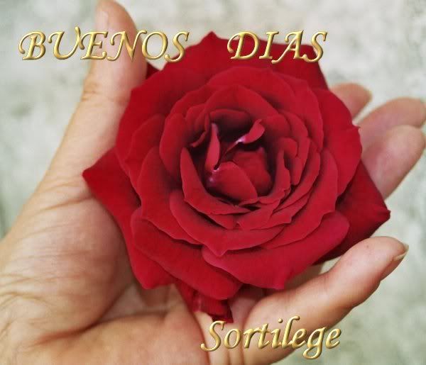  photo BUENOSDIASMANO30a_0033.jpg