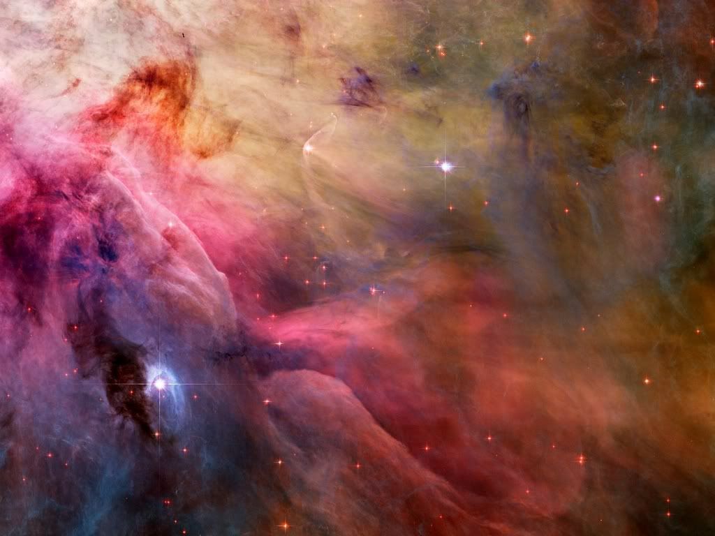 orion nebula Pictures, Images and Photos