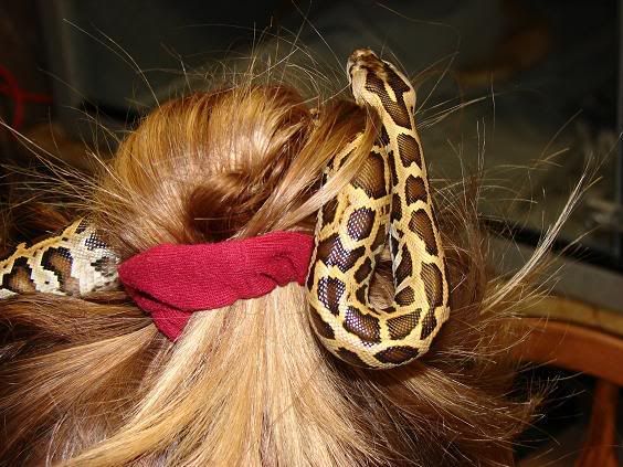 inhair2.jpg