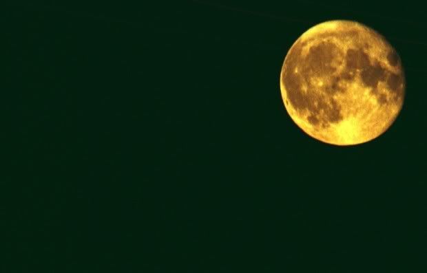 Full Moon Pictures, Images and Photos