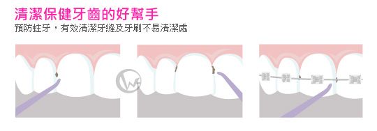 KOKOLO Q版鯨魚造型 健康沖牙機
02