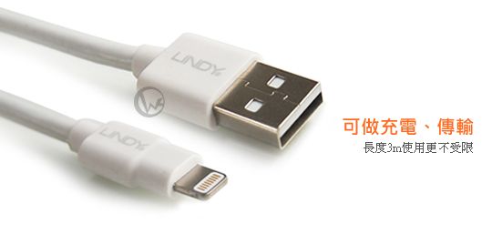 LINDY 林帝 Apple認證 Lightning (8pin) USB傳輸線 3m (31353) 02