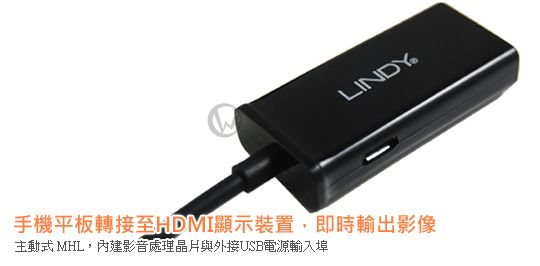 LINDY 林帝 主動式 MHL2.0 轉 HDMI 轉接線 (41562) [Samsung 11pin接頭 適用]
 03