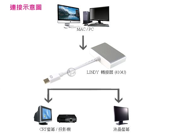 LINDY 林帝 mini DisplayPort 轉 HDMI/VGA 轉接器 (41043)02