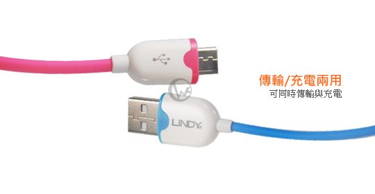 LINDY 林帝 USB2.0 A公 轉 microUSB 彩色捲線1.6m 3092X 02