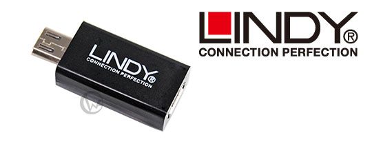 LINDY 台灣製 USB2.0 Micro B 5pin 轉 11pin 轉接頭 (41570) 02