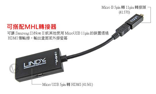 LINDY 台灣製 USB2.0 Micro B 5pin 轉 11pin 轉接頭 (41570) 02