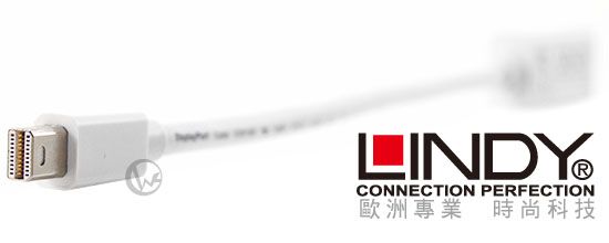 LINDY L mini DisplayPort  HDMI v/ഫ (41014)iۮeThunderboltj 02