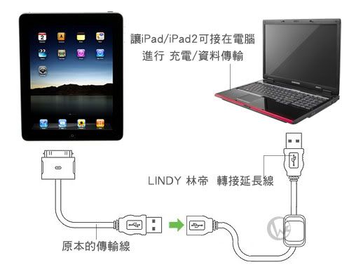 LINDY 林帝 iPad/iPad2專用 充電/資料傳輸 轉接延長線 (73335) 04