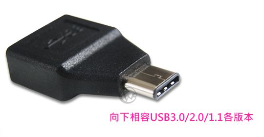 SPARTA USB3.1 C公 轉 A母 迷你型 轉接頭
  02