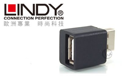 LINDY 林帝 台灣製 iPad / iPad2 專用 充電轉接頭 18