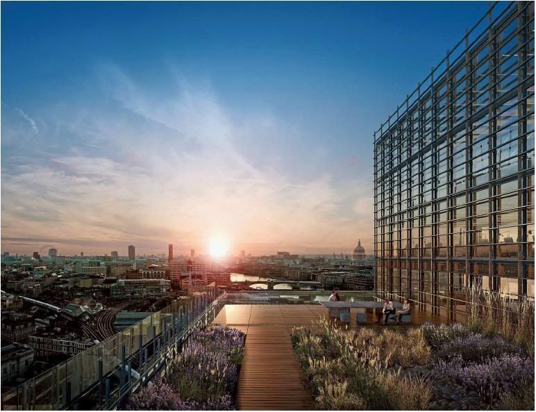 Thousands Tune In To Webcam Of Peregrine Falcons At Salisbury