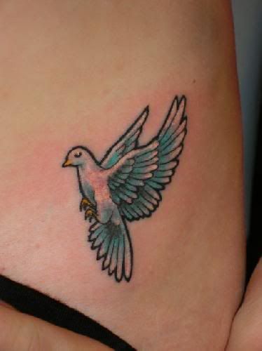 I quite like this one, symbolising peace: A White-Winged Dove damn 