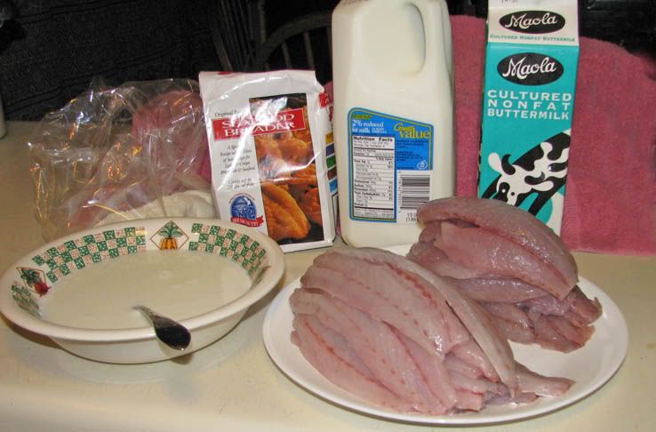 Blue fish recipes milk Blue fish recipes milk
