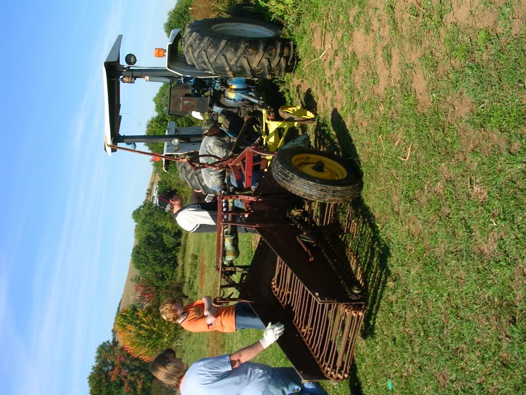 Potato Harvest 2007! What a good year! (Pic heavy!) - Gardening & Plant Propagation