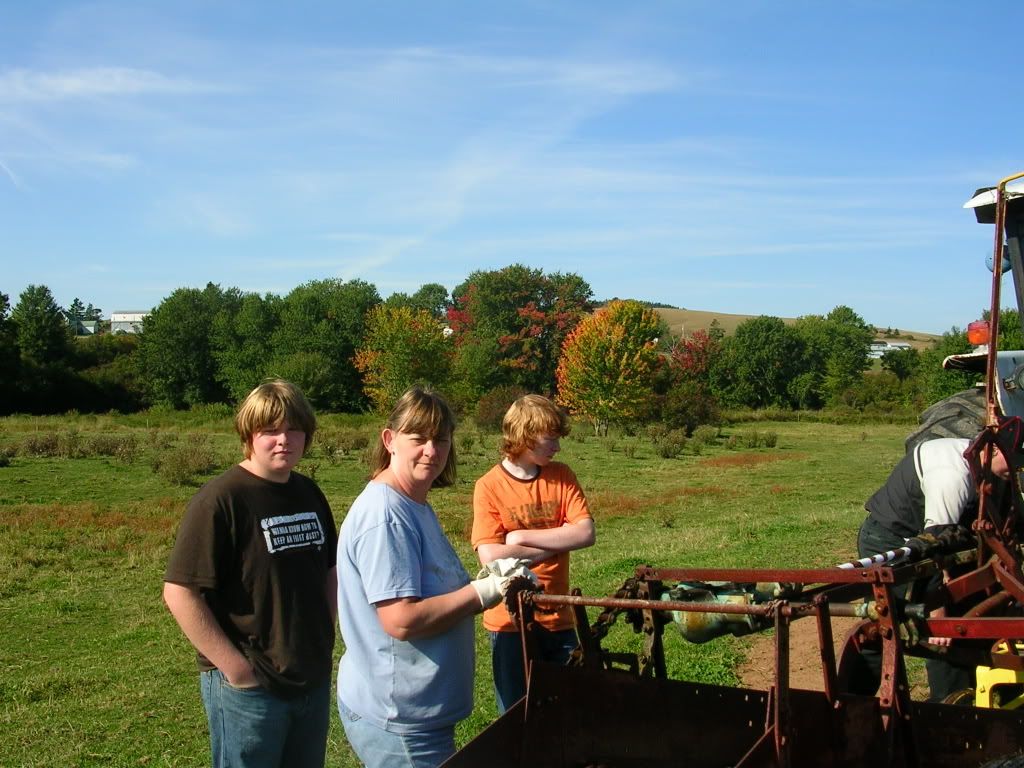Potato Harvest 2007! What a good year! (Pic heavy!) - Gardening & Plant Propagation