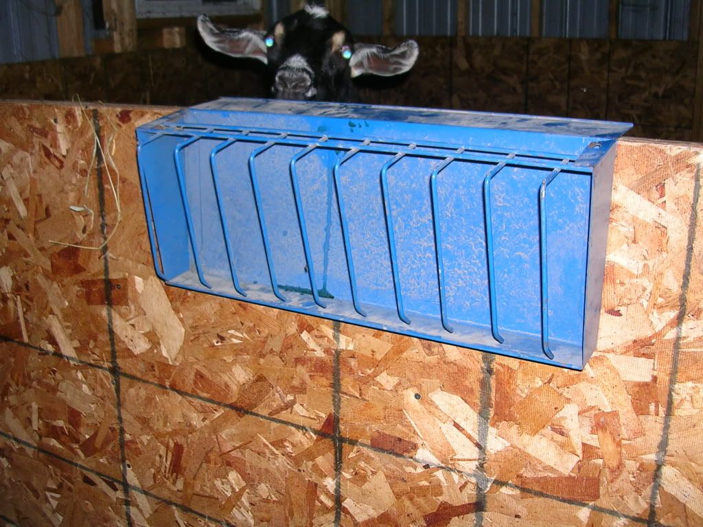 Help with Hay Feeder - Goats