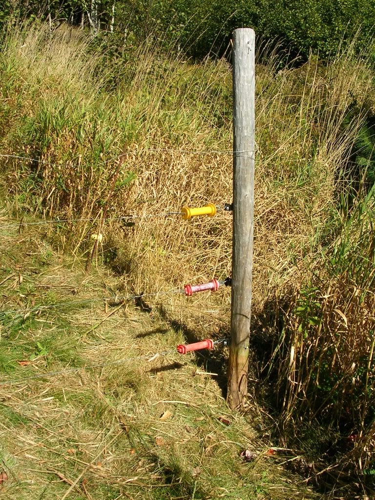 My 4 wire fence. (For the other post!) - Goats