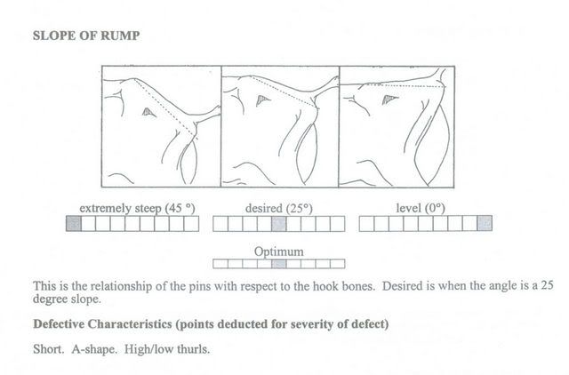 Whats the right breeding times? - Goats