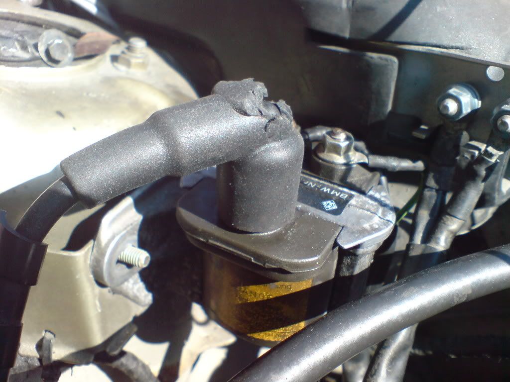 DSC00004.jpg