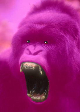 gorilla3P.png
