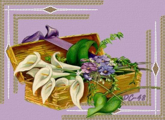 FLAY-KUADRO-5-XD-1-OK.jpg picture by DULCE_CORAZON48