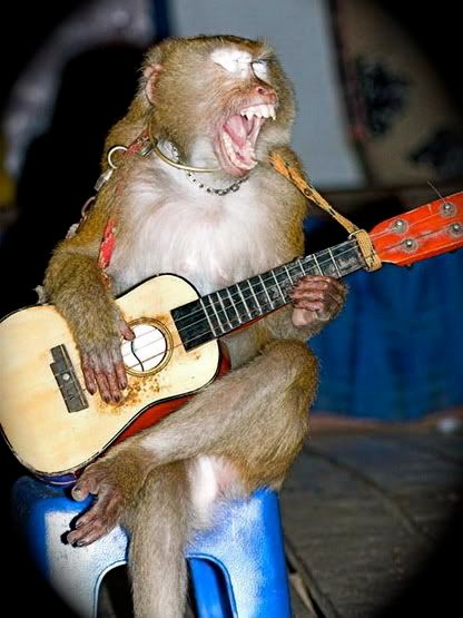 monkey_guitar.jpg