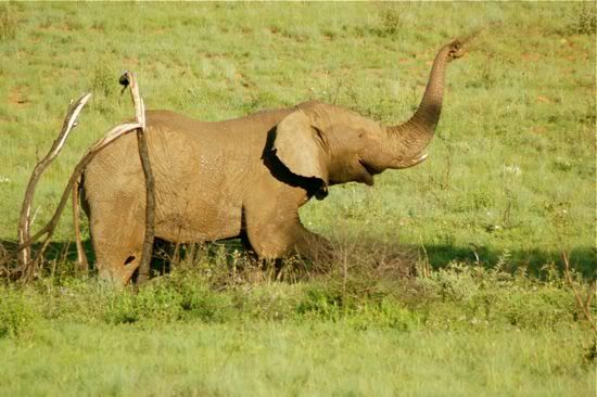 Photo Sharing and Video Hosting at Photobucket