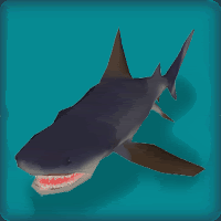 BorShark.gif