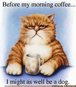 morning-coffe.jpg