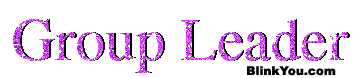 http://i216.photobucket.com/albums/cc255/tmp7525/GroupLeader.gif