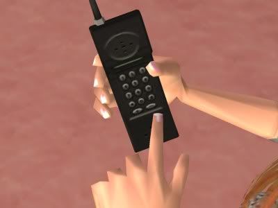 snapshot_73dcd0e9_d3f95585.jpg