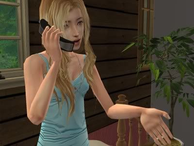 snapshot_93f95c4f_d3f961b8.jpg