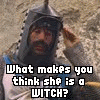 Monty Python and the Holy Grail photo: Newt Monty Python Holy Grail montypythonnewt.gif