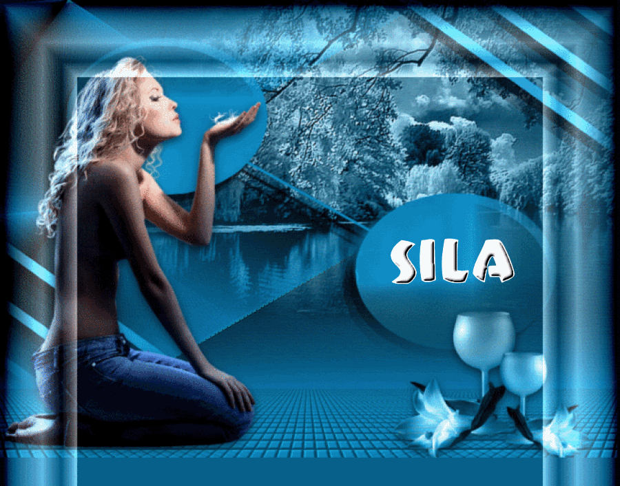 sila1.gif 