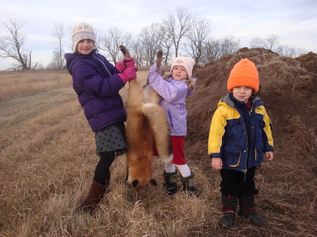 Pictures of your Furbearers and Varmints MN VarmintsFurbearers