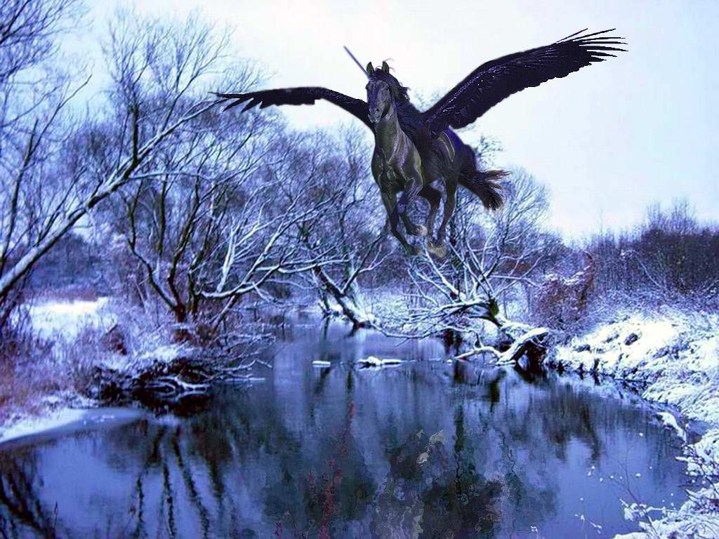 black pegasus lake Pictures, Images and Photos