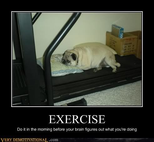 Funny pictures, making fun of, and Demotivational
