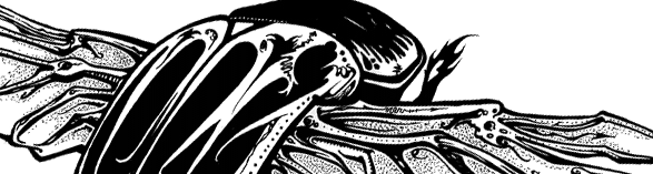 destroyheader.gif image by AnalogAssassin