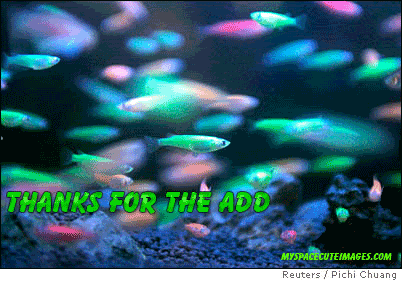 Add_Comments04.gif