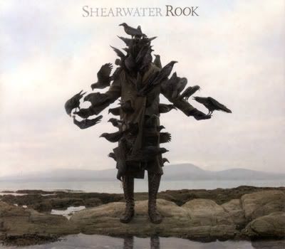 Shearwater - Rook