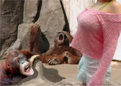 monkey-loves-ladies-bablons.jpg